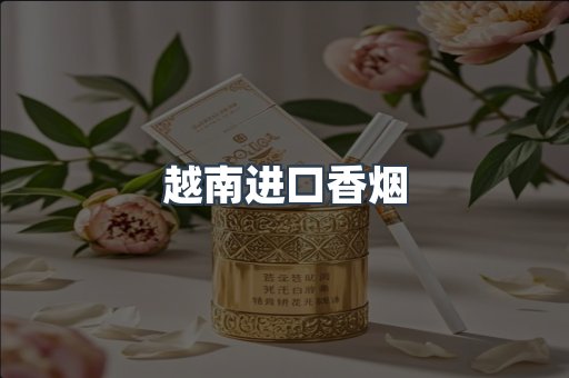 越南进口香烟
